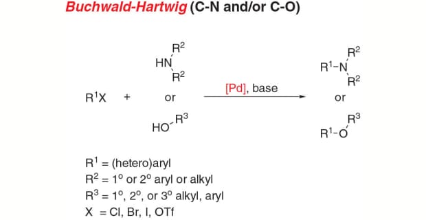 Buchwald-Hartwig cross-coupling reaction scheme for C-N or C-O bond formation.