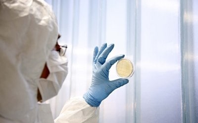 A scientist in a protective suit and gloves examines a petri dish containing a sample, holding it up to the light against a blurred background of laboratory equipment.