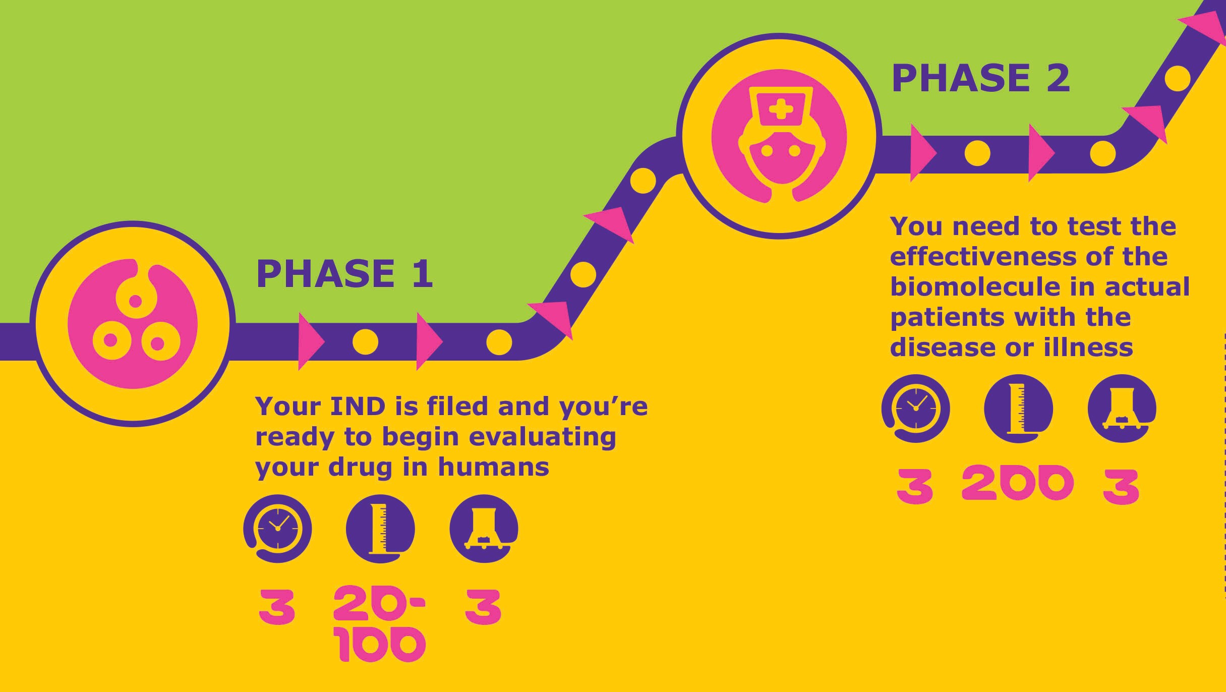 Infographic of Phase I-II biomolecule evaluation stages, including timelines and process requirements