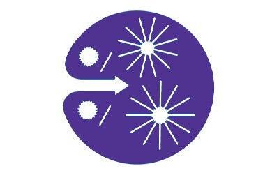 Sample amplification and analysis