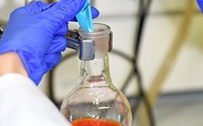 A scientist in a laboratory, wearing blue gloves, is adding a catalyst to a round-bottom flask containing a red solution, highlighting the process of accelerating a chemical reaction.