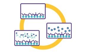 drawings of washing /blocking step in lateral flow assay