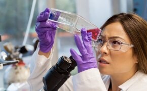 Process scientist working with cell culture media