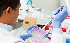 Male scientist wearing blue nitrile gloves fills protein solutions in multi-well plate with pipette.