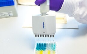 Large, brown solvent bottle with Supelco® branded label is opened by a lab worker wearing blue nitrile gloves. Only the hands and lower arms of the worker are shown. One small brown solvent bottle and two small white bottles can be seen in the background.