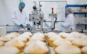 Various fruits, vegetables, nuts, beans, and berries in bowls