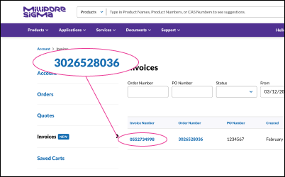 Showing the download location of the invoice