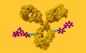 抗体薬物複合体の模式図。