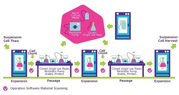 Closed processing workflow for cell banking