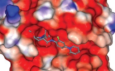 A 3D representation of a molecular structure situated within a colorful surface, indicating interactions with its environment. The molecule is shown in gray and blue, with specific functional groups highlighted in green and red. The surrounding surface is depicted in shades of red, white, and blue, suggesting varying properties such as hydrophobicity and electrostatic potential.