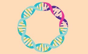 A circular arrangement of intertwined DNA strands in vibrant colors on a soft peach background.