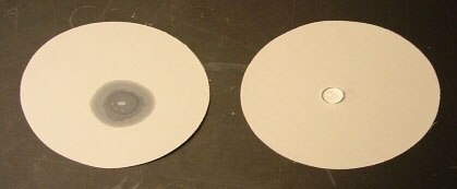 Wetting of hydrophilic and hydrophobic PTFE membranes.