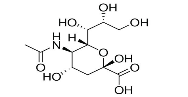 three dimensional chemical structure of sialic acid with solid wedge and dash bonds