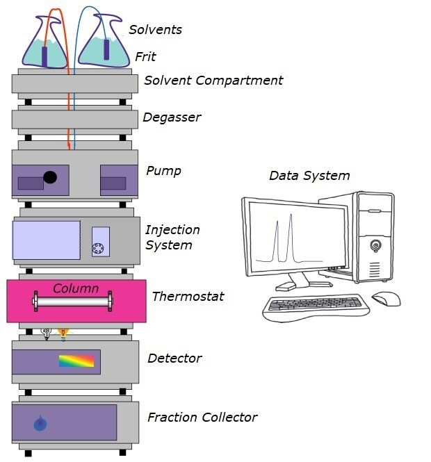 The image illustrates the typical components of an HPLC (High-Performance Liquid Chromatography) system. At the top are two beakers containing solvents on a grey block representing the solvent compartment. Below the solvent compartment is the degasser, followed by the pump and then the injection system. Beneath the injection system is a yellow-colored block representing the thermostat, within which a column is visible. Below the thermostat is a grey block representing the detector, followed by the fraction collector. On the right side of the image, there is a computer screen displaying a chromatogram, accompanied by a keyboard, mouse, and CPU, representing the data acquisition system.