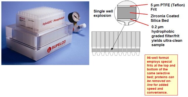 Sample process for HybridSPEPhospholipid 96-well Plate