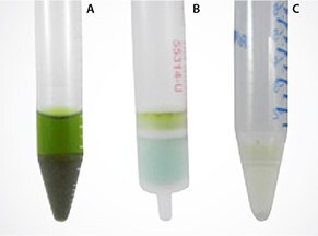 cannabis-samples