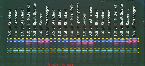 Figure 1a: Detection of aromatic hop at 366 nm