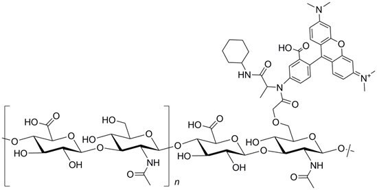 Tetramethyl-rhodamine Hyaluronic Acid