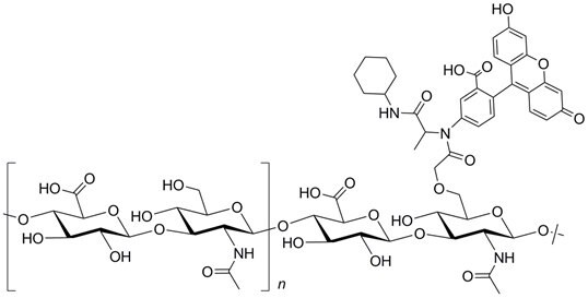 Fluorescein Hyaluronic Acid Structure