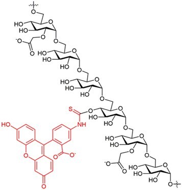 Fluorescence scan of FITC-CM-dextran in 0.025M borate pH 9.0 (10mg in 50 mL buffer). Excitation 493nm; Emission 519nm.