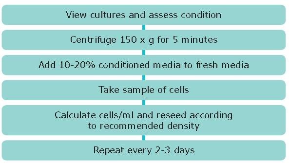 Subculture of Suspension Cell Lines