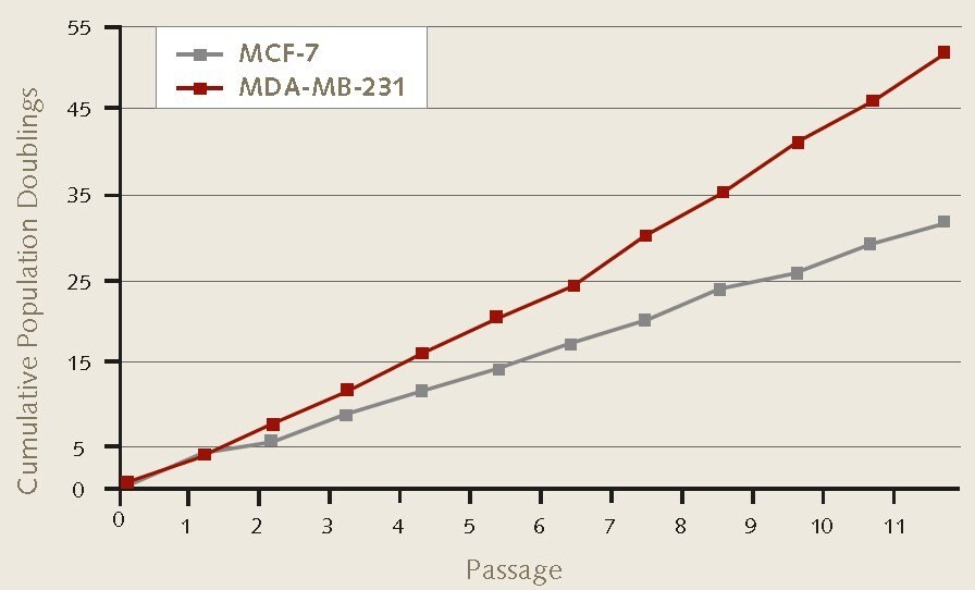 Cell proliferation rates of MCF-7 and MDA-MB-231 breast cancer cells during 3D mammosphere culture. 