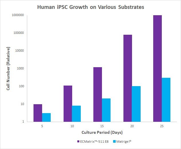 Human iPSC Growth on Various Substrates