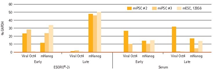 Nanog and Viral Oct4 expression in iPSCs