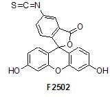 Labeling and staining reagents schema - F2502.