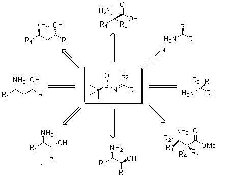 A chemical diagram depicting a central molecule with a sulfur atom (S) bonded to nitrogen (N) and two functional groups (R1 and R2). Surrounding this central structure are various molecular structures, each featuring different combinations of amine (NH2), hydroxyl (OH), and carbonyl (O) groups, indicating possible reactions or interactions involving the central molecule. Arrows connect the central structure to the surrounding molecules, illustrating their relationships.