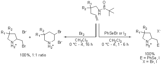 A chemical reaction scheme illustrating the interaction of two brominated compounds featuring nitrogen (N) and various functional groups (R1 and R2). The diagram shows the reactants on the left, indicating a 100% yield in a 1:1 ratio. The central structure includes a sulfur atom (S) bonded to nitrogen and an oxygen (O) group. The reaction conditions specify the use of dichloromethane (CH₂Cl₂) at 0°C for 16 hours, leading to the formation of a new compound on the right, which includes a selenium (Se) or iodine (I) substituent. The diagram notes that the final product also achieves a 100% yield with specific substituents (E and X).