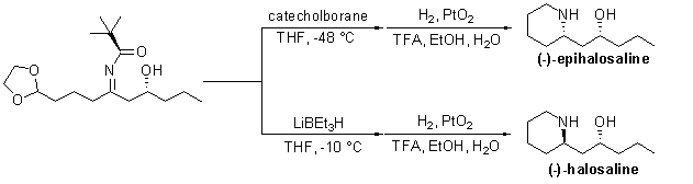 A chemical reaction diagram illustrating the synthesis of two compounds, epihalosaline and halosaline, from a starting molecule featuring a nitrogen (N) atom, hydroxyl (OH) groups, and a carbon chain. The diagram shows the addition of catecholborane under specific conditions (THF at -48°C) and lithium triethylborohydride (LiBEt₃H) at -10°C. The reaction proceeds through two pathways, each involving hydrogenation (H₂) with platinum oxide (PtO₂) and subsequent treatment with trifluoroacetic acid (TFA) in ethanol (EtOH) and water (H₂O). The products, (-)-epihalosaline and (-)-halosaline, are displayed on the right.