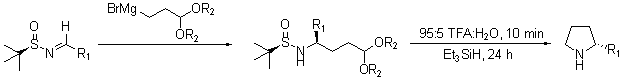 A chemical reaction diagram illustrating a synthetic pathway involving a starting molecule with a sulfur atom (S), nitrogen (N), and various functional groups (R1, R2). The first step shows the addition of an organomagnesium reagent (BrMg) to an intermediate compound, leading to the formation of a new structure. The subsequent reaction involves treatment with a mixture of trifluoroacetic acid (TFA) and water (H₂O) for 10 minutes, followed by the use of triethylsilane (Et₃SiH) over 24 hours. The final product, a cyclic compound featuring nitrogen (N) and R1, is displayed on the right.