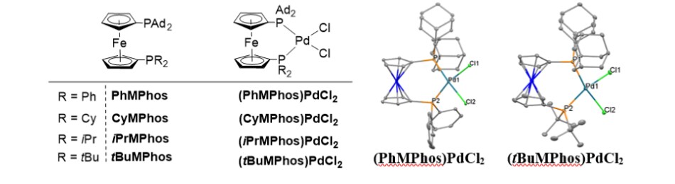 MPhos ligands and catalysts are a series of highly tunable unsymmetrical Ferrocene ligands.