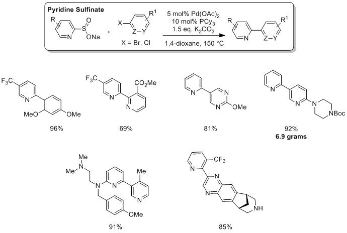 A series of chemical reactions showcasing the use of Willis Pyridinates in Palladium-Catalyzed Cross-Coupling Reactions. At the top, a reaction scheme illustrates the transformation of a pyridine sulfinate compound to various substituted pyridines using Pd(OAc)2 as a catalyst, XPhos as a ligand, and K2CO3 as a base in 1,4-dioxane at 150°C. Below are six examples of this reaction with different substituents on the pyridine ring and their corresponding yields, one notably being 92% with an annotation of ‘6.9 grams’. Each product is depicted with clear molecular structures indicating the position and type of substituents like fluorine atoms or methoxy groups.