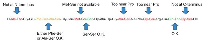 Designing a synthesis with secondary amino-acid