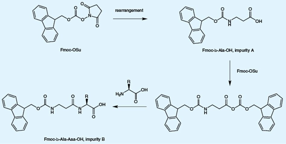 Ring opening and rearrangement of Fmoc-OSu