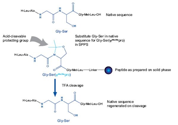 Relationship between peptide sequence and pseudoproline dipeptide