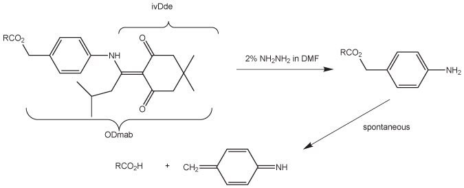 A chemical reaction diagram showing the conversion of a compound using 2% hydrazine in DMF to form an amine product.