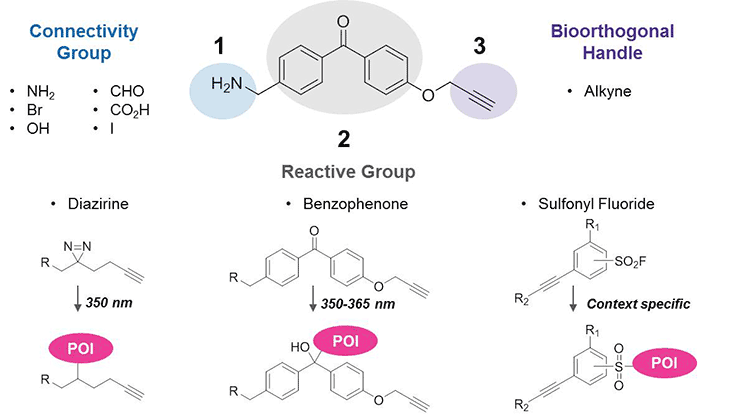 Trifunctional building blocks