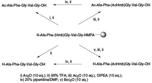 Synthesis of Ac-Hmb protected peptides