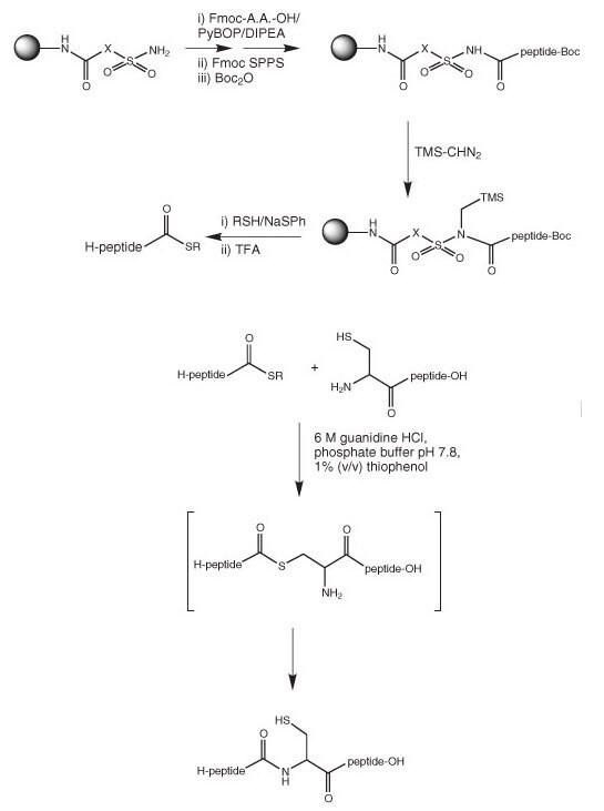 synthesis-of-thioesters