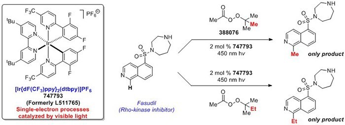 Late-Stage Incorporation of Small Alkyl Groups into Small Molecules of Biological Interest