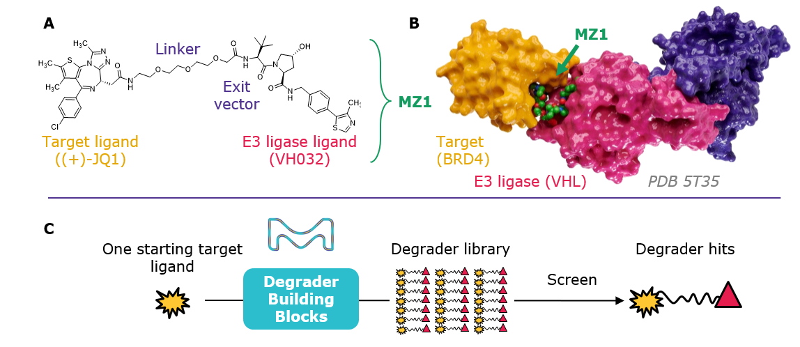 PROTAC Synthesis