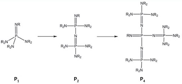 Monomeric (P1 and BEMP), dimeric (P2), and tetrameric (P4) bases schematics.