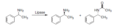 Lipase-catalyzed resolution of racemic amines.