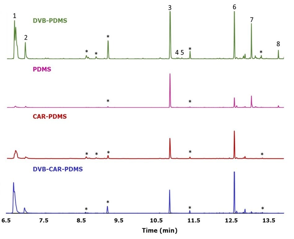 Four overlaid GC/MS chromatograms, each representing different SPME (Solid Phase Microextraction) coatings used for the analysis of fresh Perilla leaves. The chromatograms are color-coded and labeled: DVB/PDMS (green), PDMS (pink), CAR/PDMS (red), and DVB/CAR/PDMS (blue). The x-axis represents time in minutes, ranging from 6.5 to 13.5 minutes, while the y-axis reflects signal intensity, adjusted equally across all chromatograms. Distinct peaks corresponding to specific compounds are marked and numbered: (1) 1-Octen-2-ol, (2) 3-octanol, (3) perilla ketone, (4) egoma ketone, (5) isoegoma ketone, (6) (-)-trans-caryophyllene, (7) α-humulene, and (8) (Z,E)-α-Farnesene. Additional peaks marked with an asterisk (*) represent fiber peaks from the SPME coating.