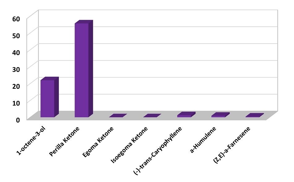 A bar chart depicting the relative abundances of the main volatile components in dried Perilla leaves, analyzed using the DVB/PDMS SPME coating. The x-axis lists the compounds: 1-octene-3-ol, Perilla ketone, Egoma ketone, Isoegoma ketone, (-)-trans-Caryophyllene, α-Humulene, and (Z,E)-α-Farnesene. The y-axis represents relative abundance as a percentage, ranging from 0 to 60%. The chart shows that Perilla ketone has the highest abundance, with a bar reaching nearly 60%. 1-octene-3-ol follows with a bar around 20%. The other compounds exhibit minimal or negligible abundances, represented by very short bars near the baseline.