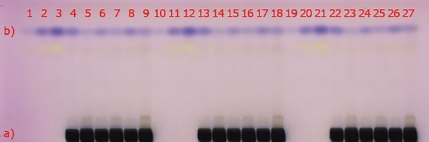 Visualization of the HPTLC gel 60 F254 plate under visible light (white light); a) matrix compounds after staining with anisaldehyde sulfuric acid (black areas);b) 2-methylquinoxaline (blue spot at hRf 80), (reaction product of methylglyoxal with 1,2-phenylenediamine)