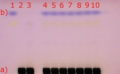 Visualization of the HPTLC Silica gel 60 F254 plate under visible light (white light); a) matrix compounds after staining with anisaldehyde sulfuric acid (black areas); b) 2-Methylquinoxaline (blue spot at hRf 80), (reaction product of Methylglyoxal with 1,2-phenylenediamine)